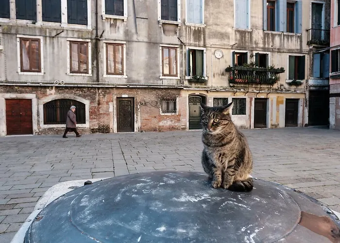 Appartement Melusina Ca' Bernarda Historical Center *