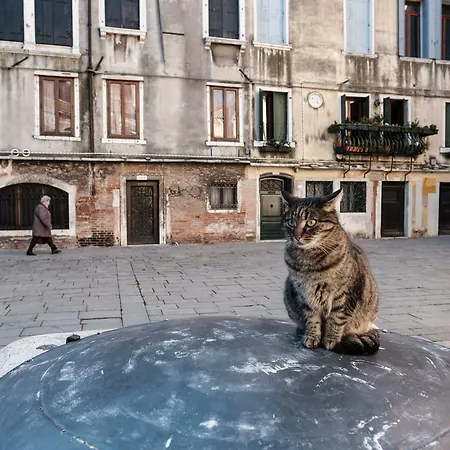 アパート Melusina Ca' Bernarda Historical Center *